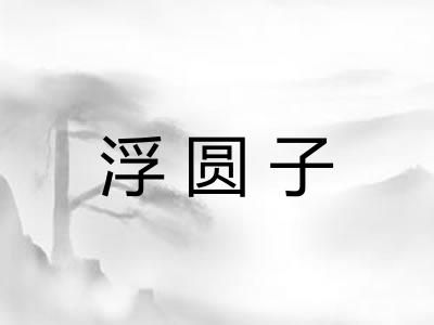 浮圆子