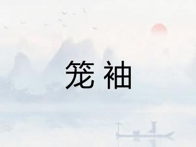 笼袖