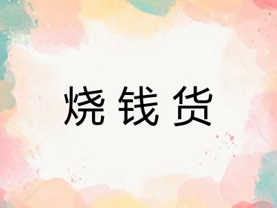 烧钱货