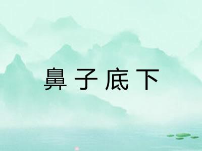 鼻子底下