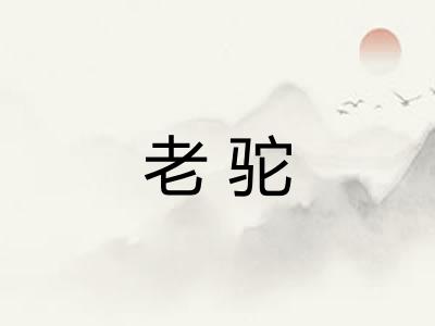 老驼
