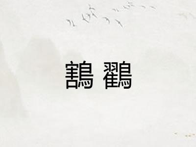 鶷鸐
