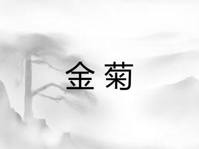 金菊
