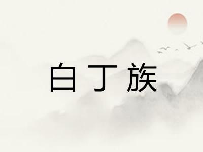 白丁族