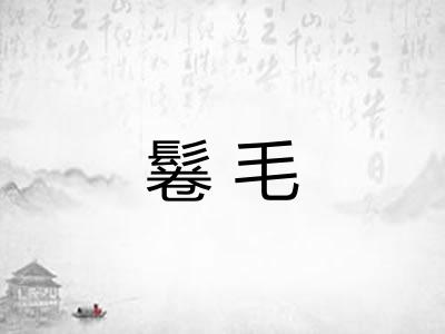 鬈毛