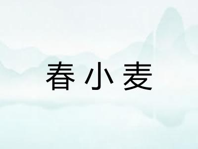 春小麦