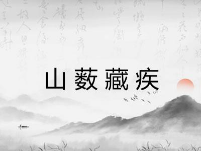 山薮藏疾