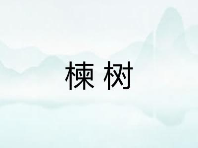 楝树
