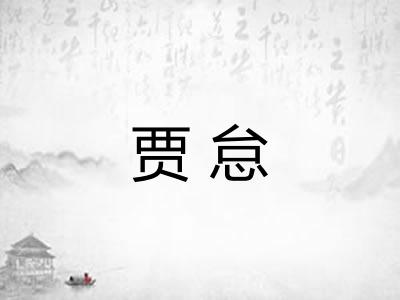 贾怠