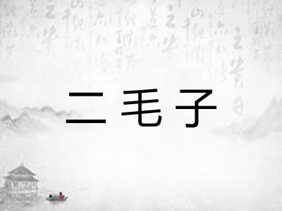二毛子