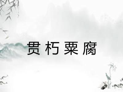 贯朽粟腐