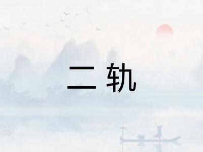 二轨