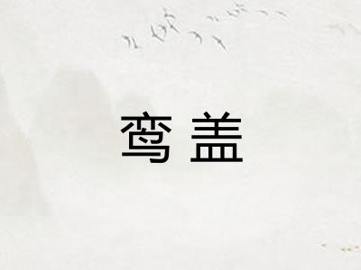 鸾盖