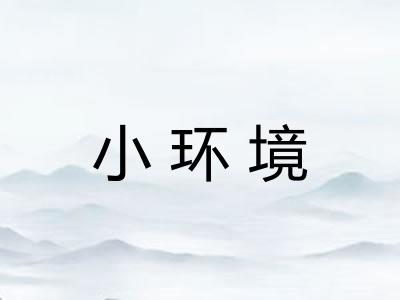 小环境