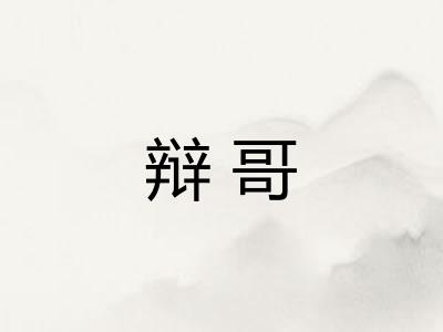 辩哥
