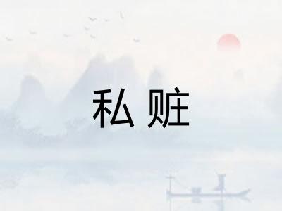 私赃