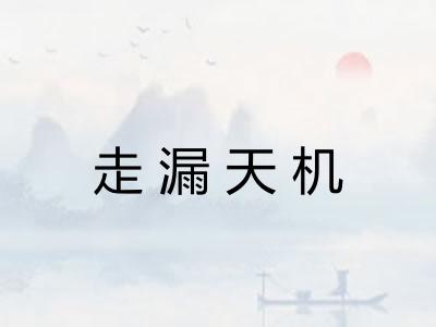 走漏天机