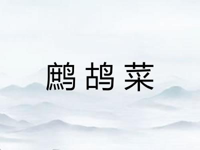 鹧鸪菜
