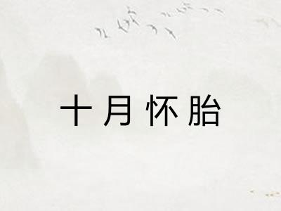 十月怀胎