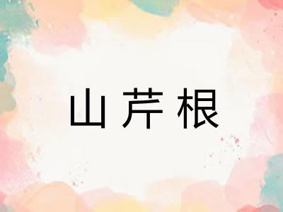 山芹根