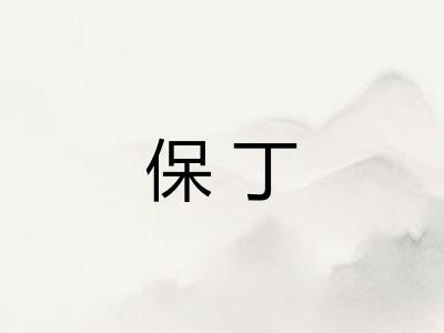 保丁