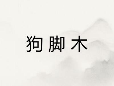 狗脚木