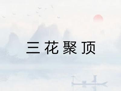 三花聚顶