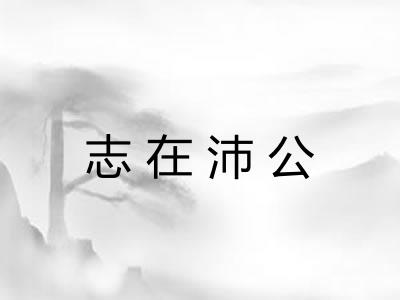 志在沛公