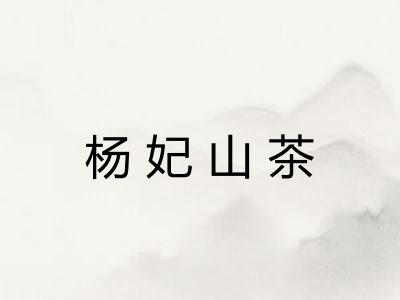 杨妃山茶