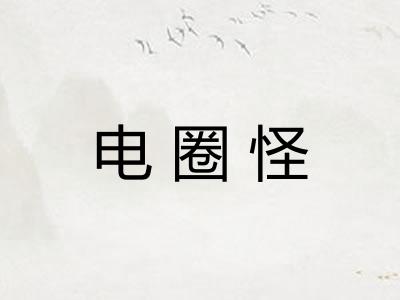 电圈怪