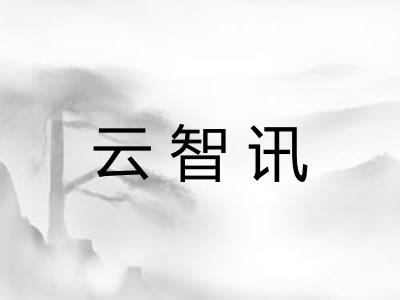 云智讯