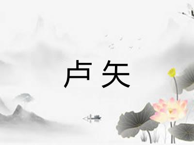 卢矢