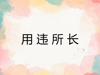 用违所长