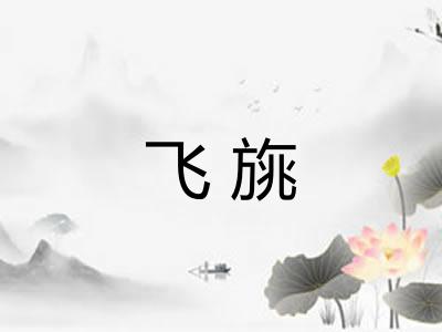 飞旐