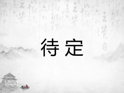 待定