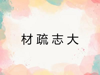 材疏志大