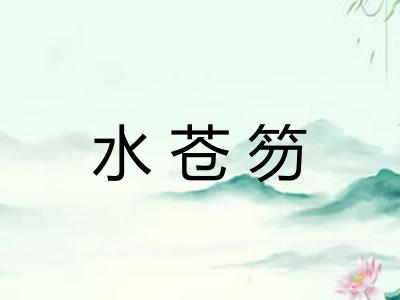 水苍笏