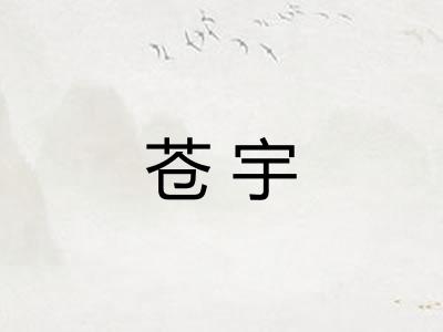 苍宇