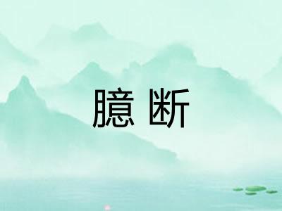 臆断