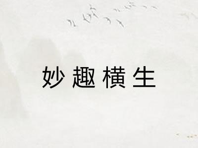 妙趣横生 妙趣横生