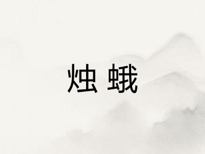 烛蛾
