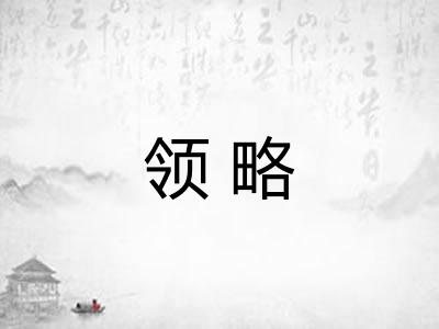 领略