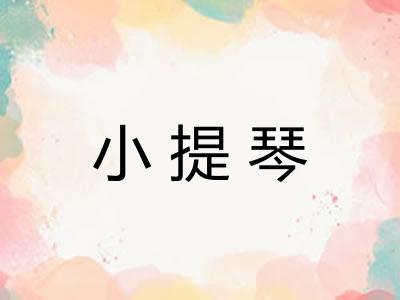 小提琴