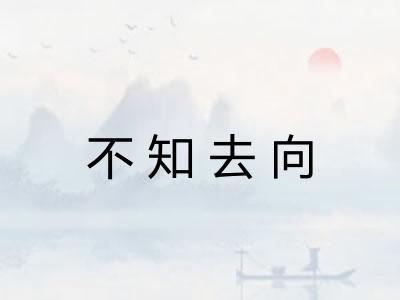 不知去向