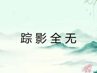 踪影全无