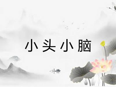 小头小脑