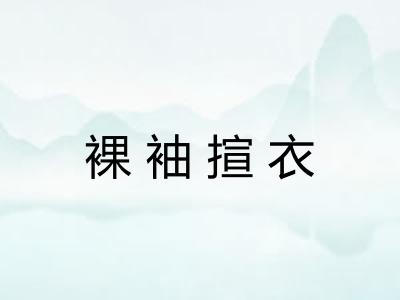 裸袖揎衣