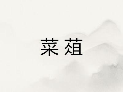 菜葅