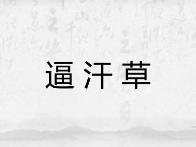 逼汗草