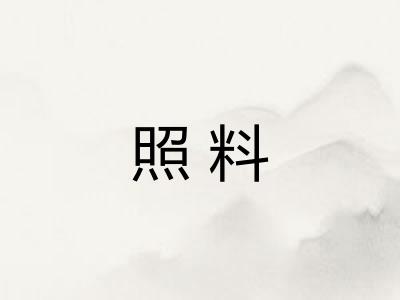 照料
